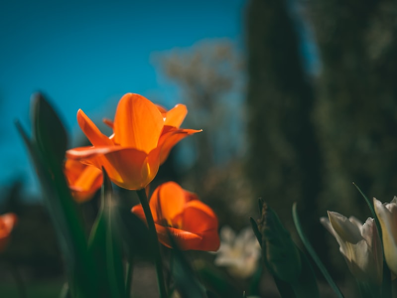 Data integration systems